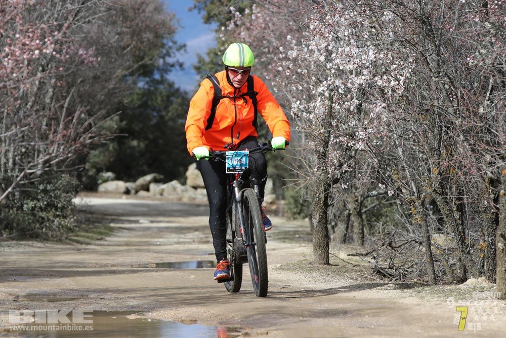 Ruta de la miel. Colmenarejo. Circuito Scott 7 Estrellas 2018. Galería 4