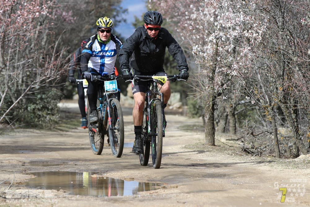 Ruta de la miel. Colmenarejo. Circuito Scott 7 Estrellas 2018. Galería 4