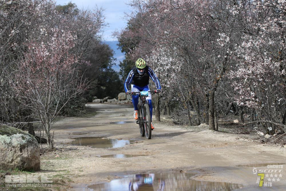 Ruta de la miel. Colmenarejo. Circuito Scott 7 Estrellas 2018. Galería 4
