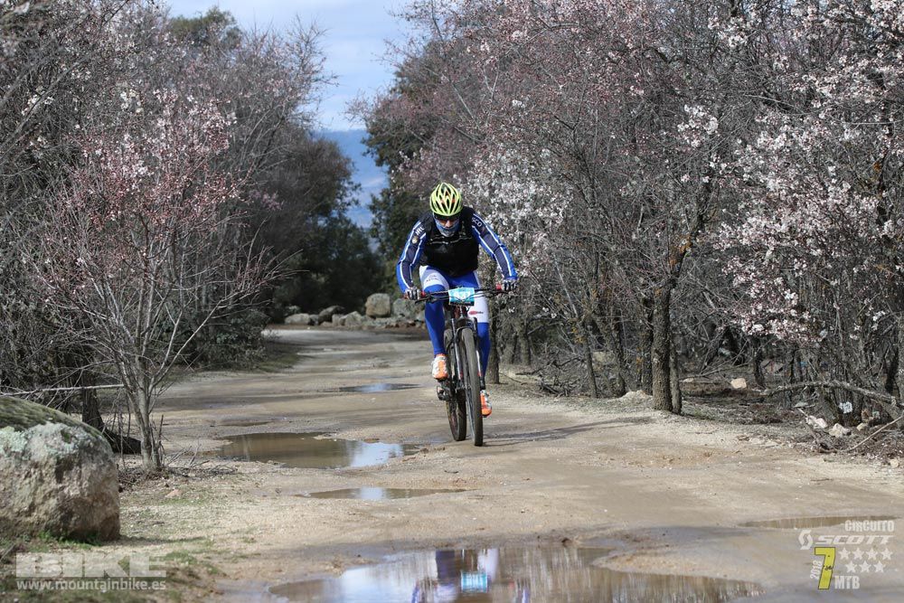 Ruta de la miel. Colmenarejo. Circuito Scott 7 Estrellas 2018. Galería 4