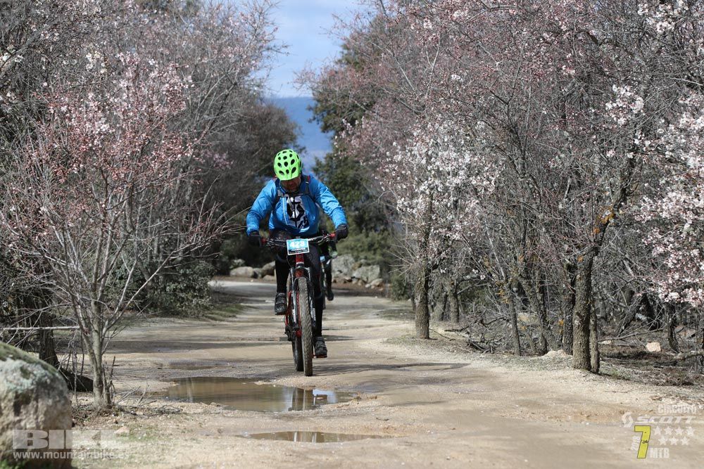 Ruta de la miel. Colmenarejo. Circuito Scott 7 Estrellas 2018. Galería 4
