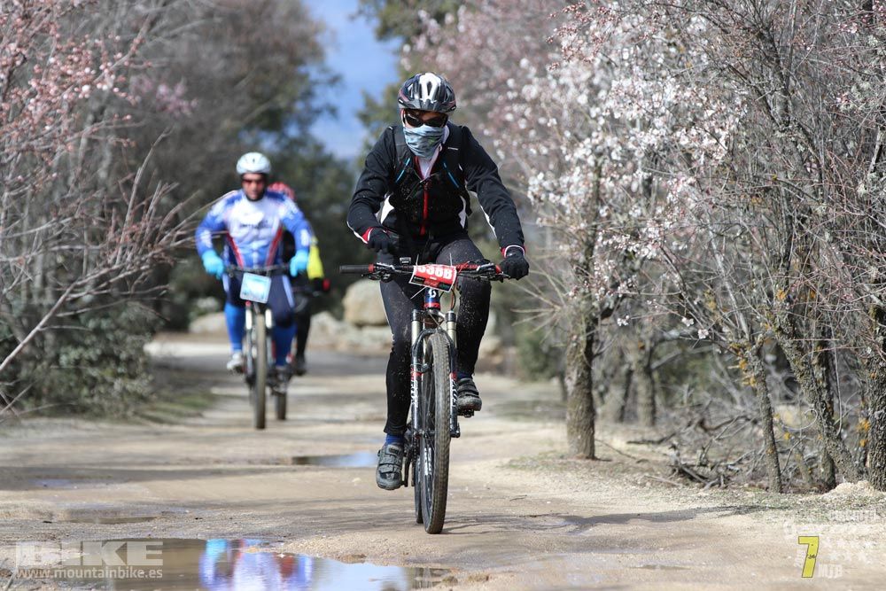 Ruta de la miel. Colmenarejo. Circuito Scott 7 Estrellas 2018. Galería 4