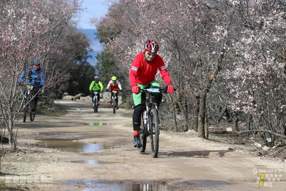 Ruta de la miel. Colmenarejo. Circuito Scott 7 Estrellas 2018. Galería 4