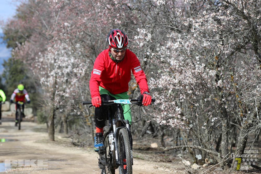 Ruta de la miel. Colmenarejo. Circuito Scott 7 Estrellas 2018. Galería 4