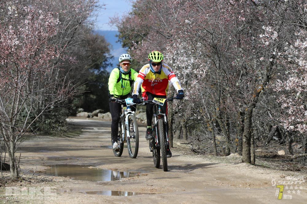 Ruta de la miel. Colmenarejo. Circuito Scott 7 Estrellas 2018. Galería 4