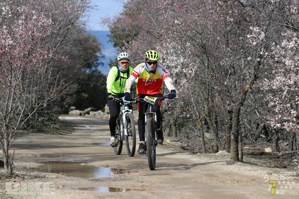 Ruta de la miel. Colmenarejo. Circuito Scott 7 Estrellas 2018. Galería 4
