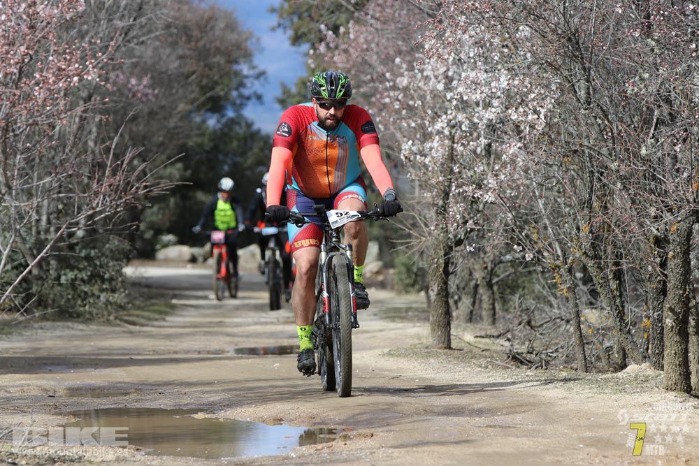 Ruta de la miel. Colmenarejo. Circuito Scott 7 Estrellas 2018. Galería 4
