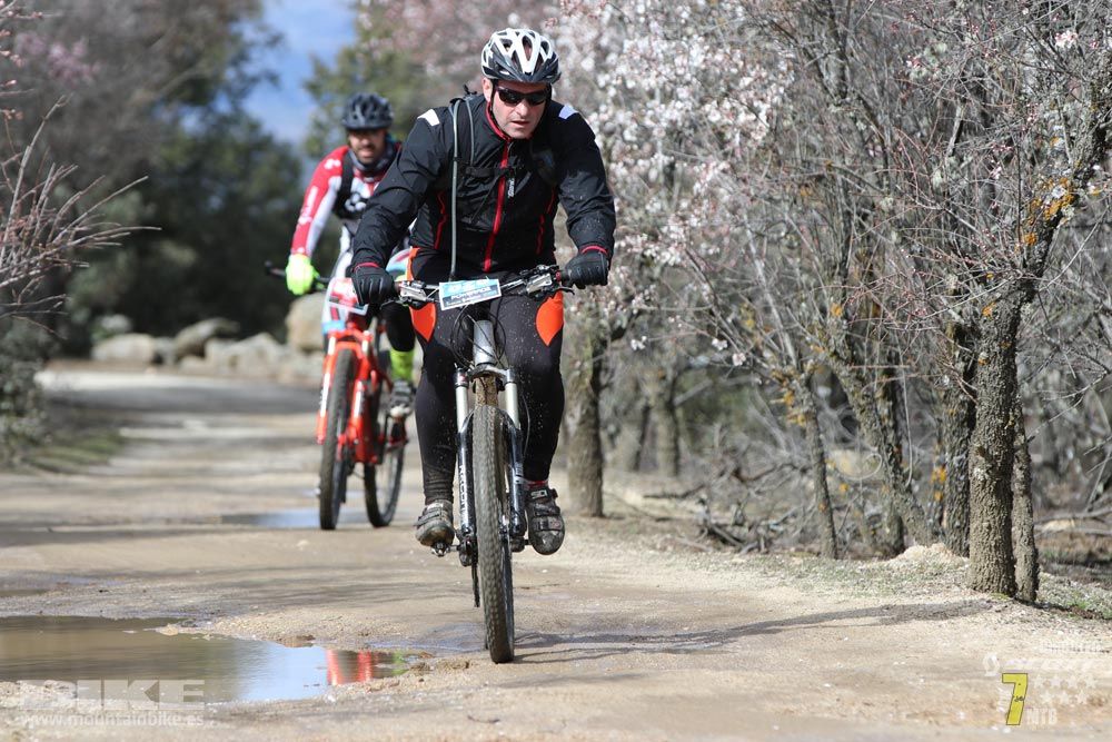 Ruta de la miel. Colmenarejo. Circuito Scott 7 Estrellas 2018. Galería 4