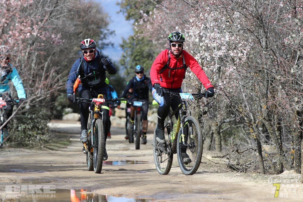 Ruta de la miel. Colmenarejo. Circuito Scott 7 Estrellas 2018. Galería 4