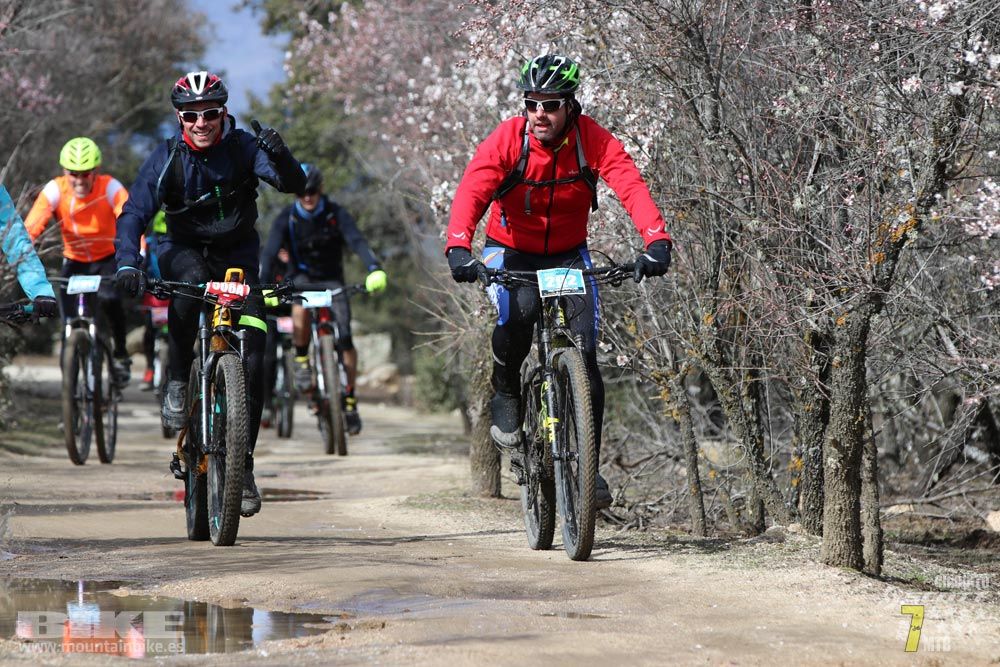 Ruta de la miel. Colmenarejo. Circuito Scott 7 Estrellas 2018. Galería 4