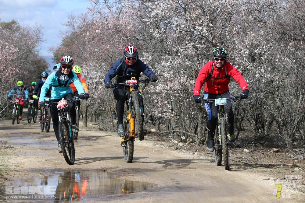 Ruta de la miel. Colmenarejo. Circuito Scott 7 Estrellas 2018. Galería 4
