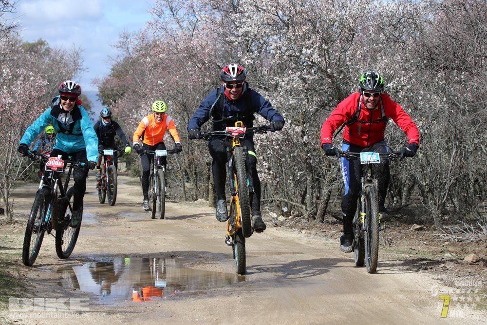 Ruta de la miel. Colmenarejo. Circuito Scott 7 Estrellas 2018. Galería 4