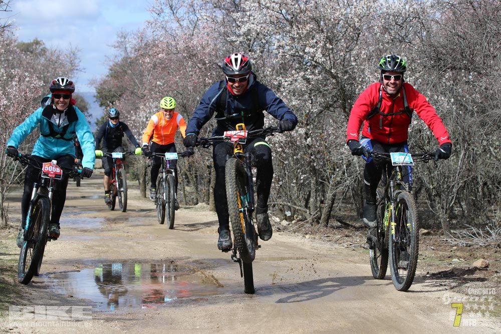 Ruta de la miel. Colmenarejo. Circuito Scott 7 Estrellas 2018. Galería 4