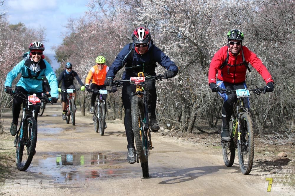 Ruta de la miel. Colmenarejo. Circuito Scott 7 Estrellas 2018. Galería 4