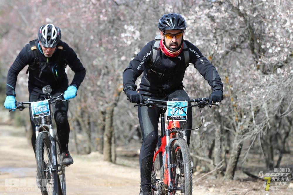 Ruta de la miel. Colmenarejo. Circuito Scott 7 Estrellas 2018. Galería 4