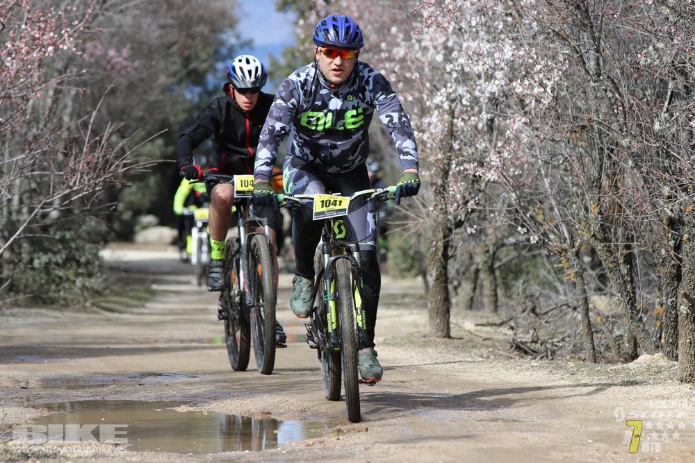 Ruta de la miel. Colmenarejo. Circuito Scott 7 Estrellas 2018. Galería 4