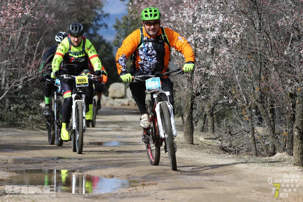 Ruta de la miel. Colmenarejo. Circuito Scott 7 Estrellas 2018. Galería 4