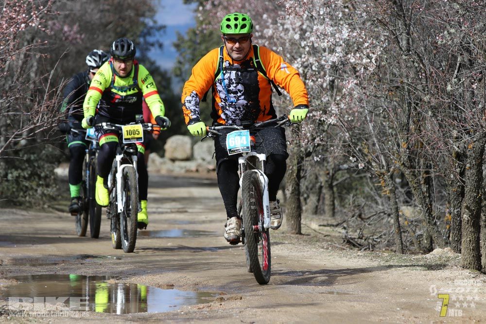Ruta de la miel. Colmenarejo. Circuito Scott 7 Estrellas 2018. Galería 4