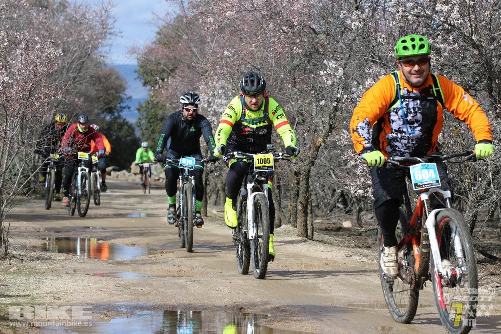 Ruta de la miel. Colmenarejo. Circuito Scott 7 Estrellas 2018. Galería 4