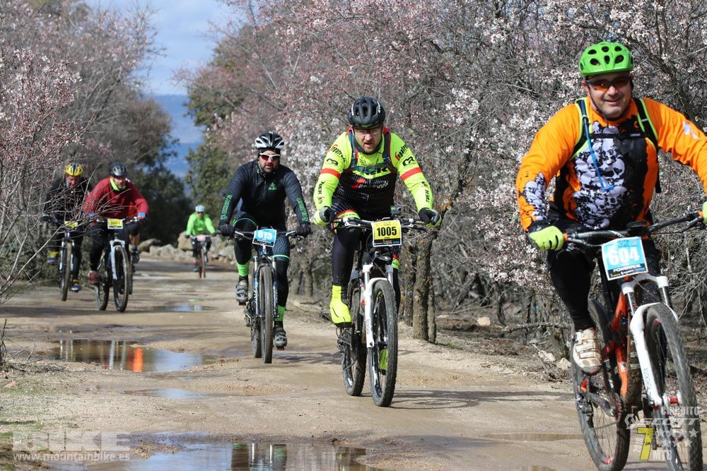 Ruta de la miel. Colmenarejo. Circuito Scott 7 Estrellas 2018. Galería 4