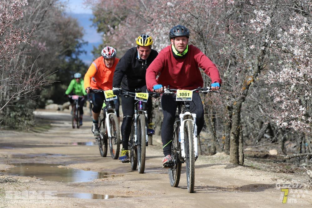 Ruta de la miel. Colmenarejo. Circuito Scott 7 Estrellas 2018. Galería 4