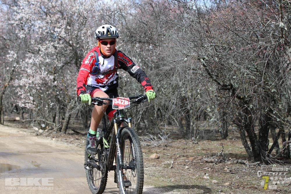 Ruta de la miel. Colmenarejo. Circuito Scott 7 Estrellas 2018. Galería 4