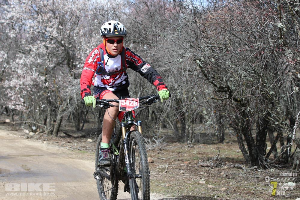 Ruta de la miel. Colmenarejo. Circuito Scott 7 Estrellas 2018. Galería 4