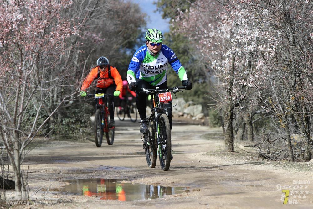 Ruta de la miel. Colmenarejo. Circuito Scott 7 Estrellas 2018. Galería 4
