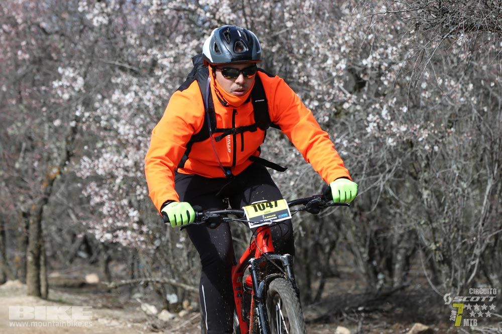 Ruta de la miel. Colmenarejo. Circuito Scott 7 Estrellas 2018. Galería 4