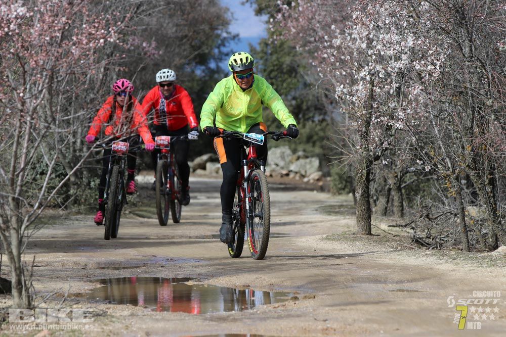 Ruta de la miel. Colmenarejo. Circuito Scott 7 Estrellas 2018. Galería 4