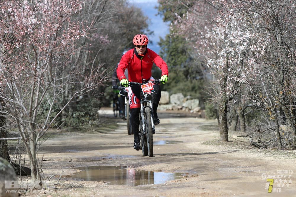 Ruta de la miel. Colmenarejo. Circuito Scott 7 Estrellas 2018. Galería 4