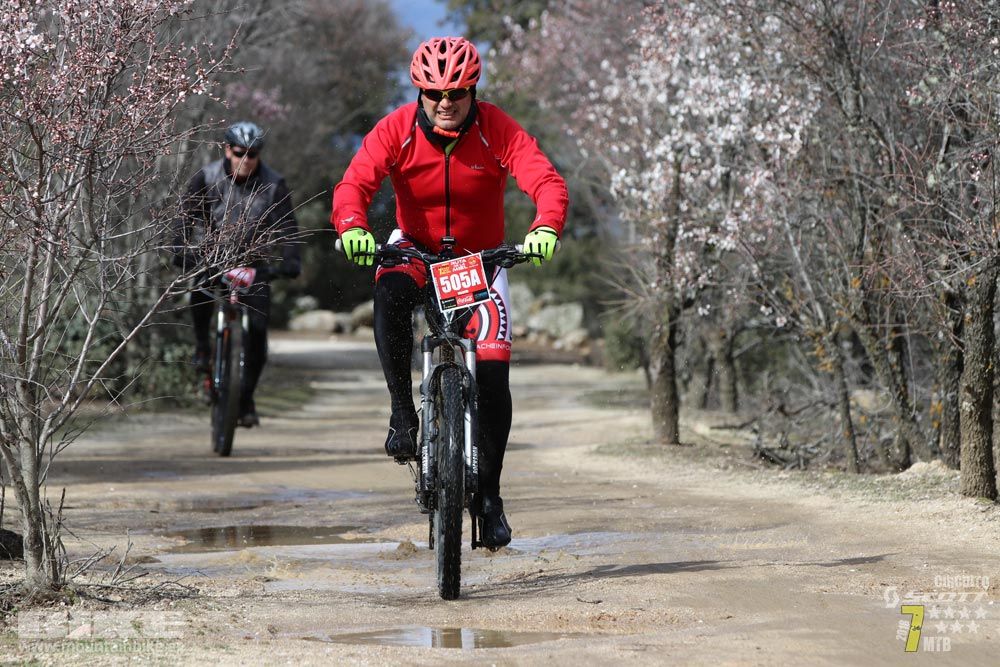 Ruta de la miel. Colmenarejo. Circuito Scott 7 Estrellas 2018. Galería 4