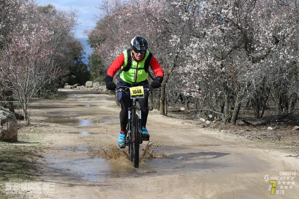 Ruta de la miel. Colmenarejo. Circuito Scott 7 Estrellas 2018. Galería 4