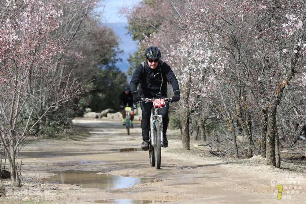 Ruta de la miel. Colmenarejo. Circuito Scott 7 Estrellas 2018. Galería 4