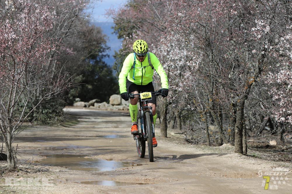 Ruta de la miel. Colmenarejo. Circuito Scott 7 Estrellas 2018. Galería 4