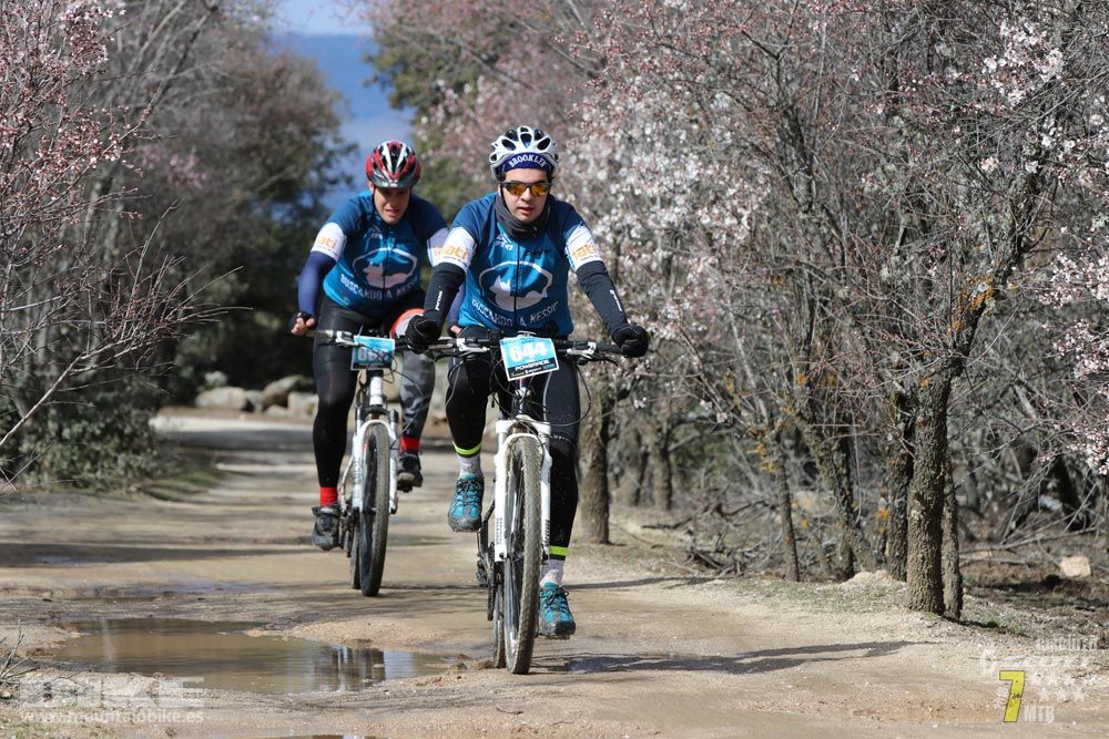 Ruta de la miel. Colmenarejo. Circuito Scott 7 Estrellas 2018. Galería 4