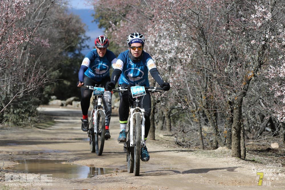 Ruta de la miel. Colmenarejo. Circuito Scott 7 Estrellas 2018. Galería 4