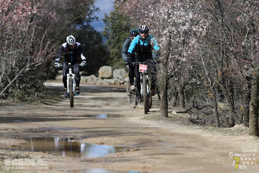Ruta de la miel. Colmenarejo. Circuito Scott 7 Estrellas 2018. Galería 4