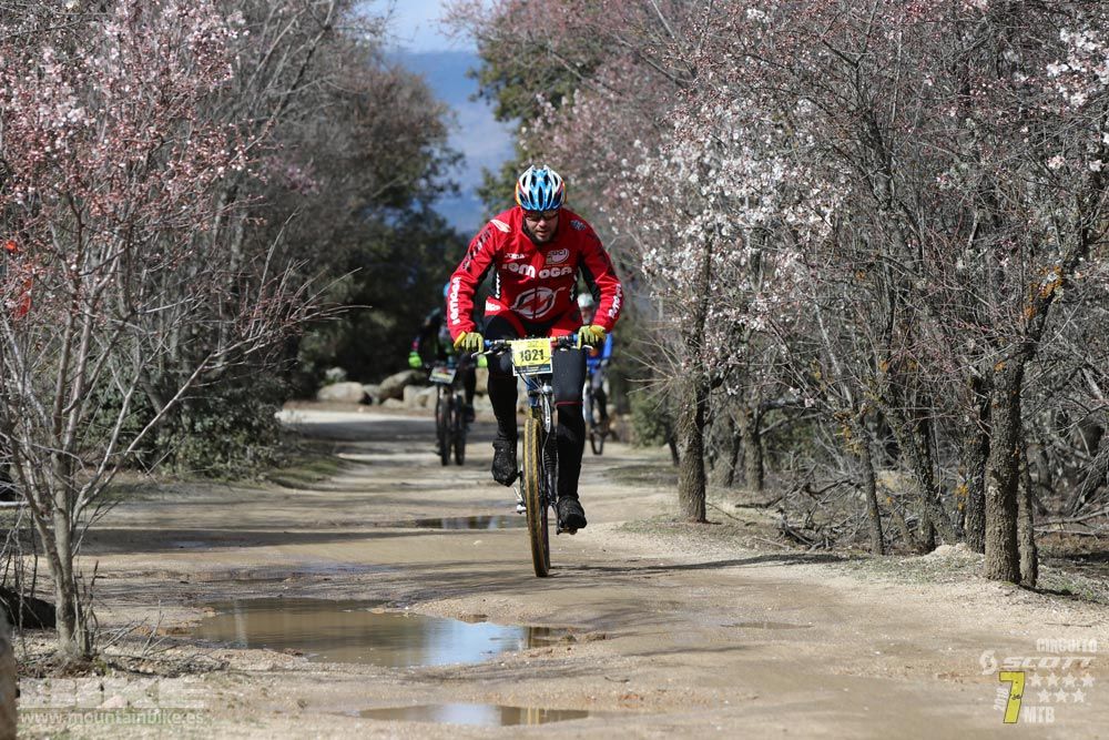 Ruta de la miel. Colmenarejo. Circuito Scott 7 Estrellas 2018. Galería 4