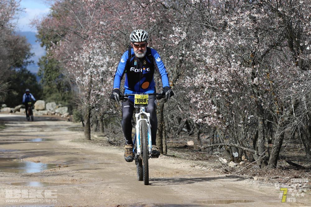 Ruta de la miel. Colmenarejo. Circuito Scott 7 Estrellas 2018. Galería 4