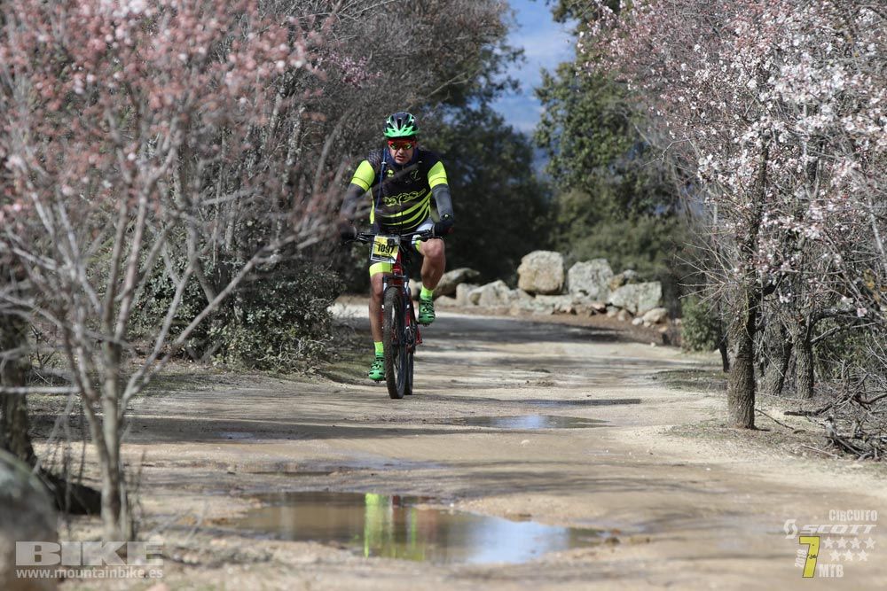 Ruta de la miel. Colmenarejo. Circuito Scott 7 Estrellas 2018. Galería 4