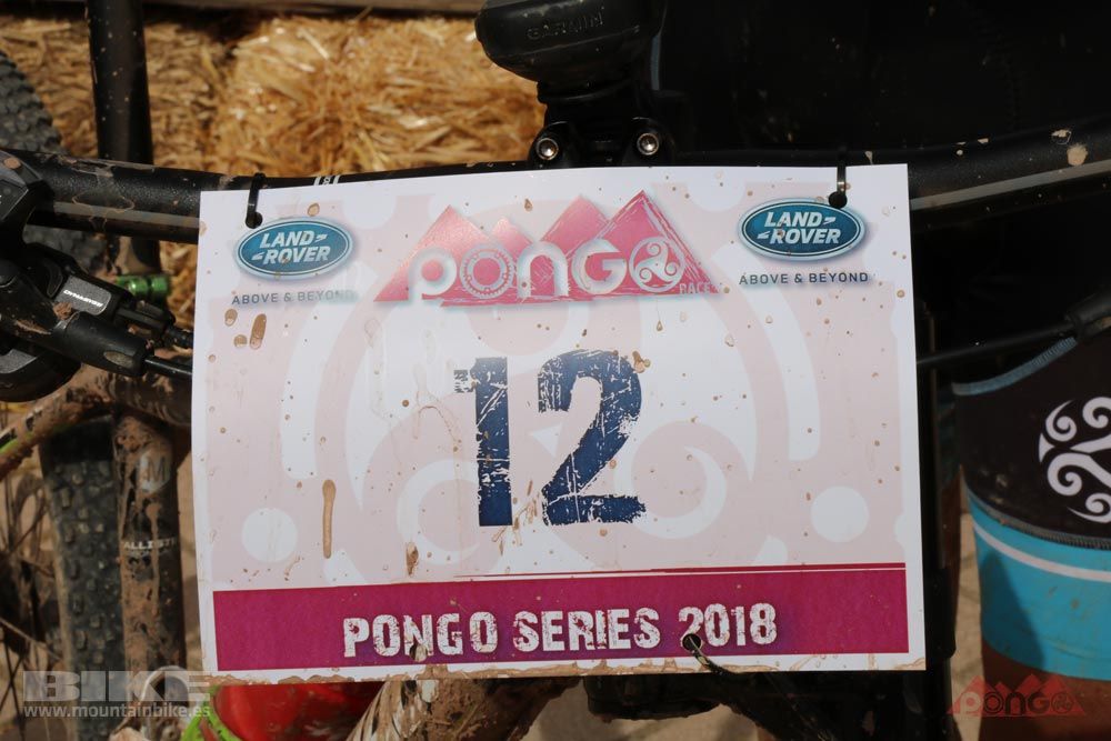 Pongo Series Les Comes 2018. Galería 3