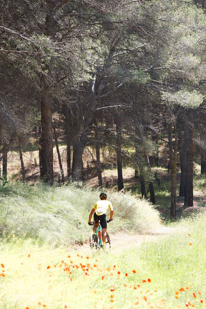 Open de España XCO 2018 Alcalá de Henares. Galeria 5 Carrera 2 Elite