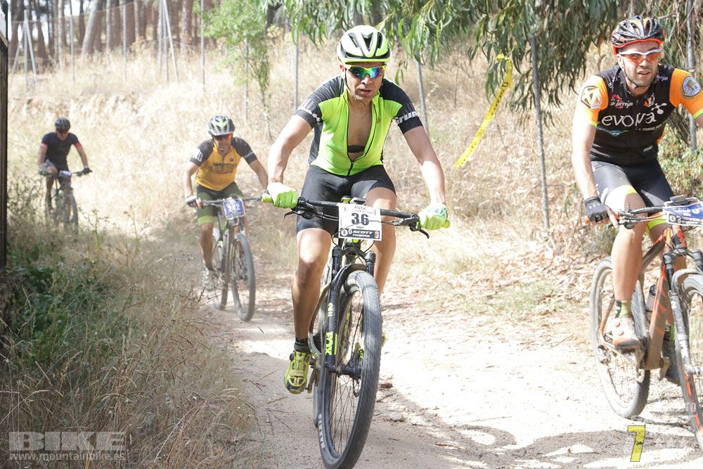 Ruta Huerto y Vino MTB Scott 7 Estrellas 2018. KM 18. Galería 2