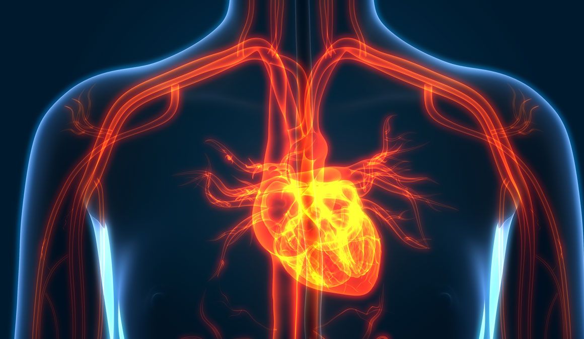 10 claves para entender tus pulsaciones
