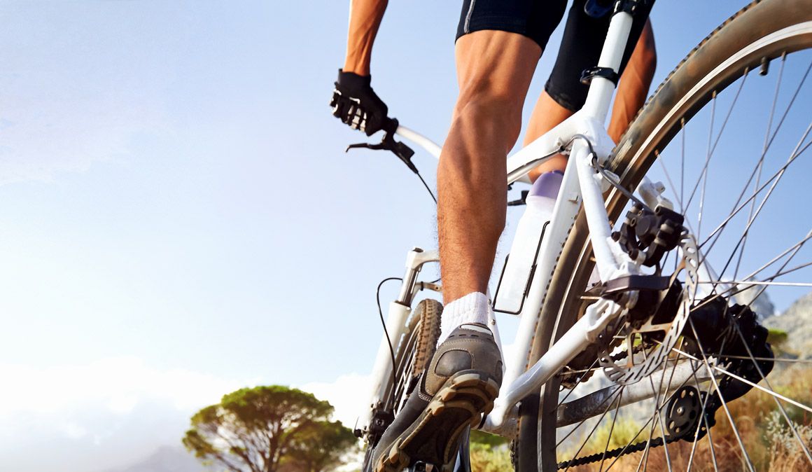 Las fibras musculares y el Mountain Bike Las fibras musculares y el Mountain Bike