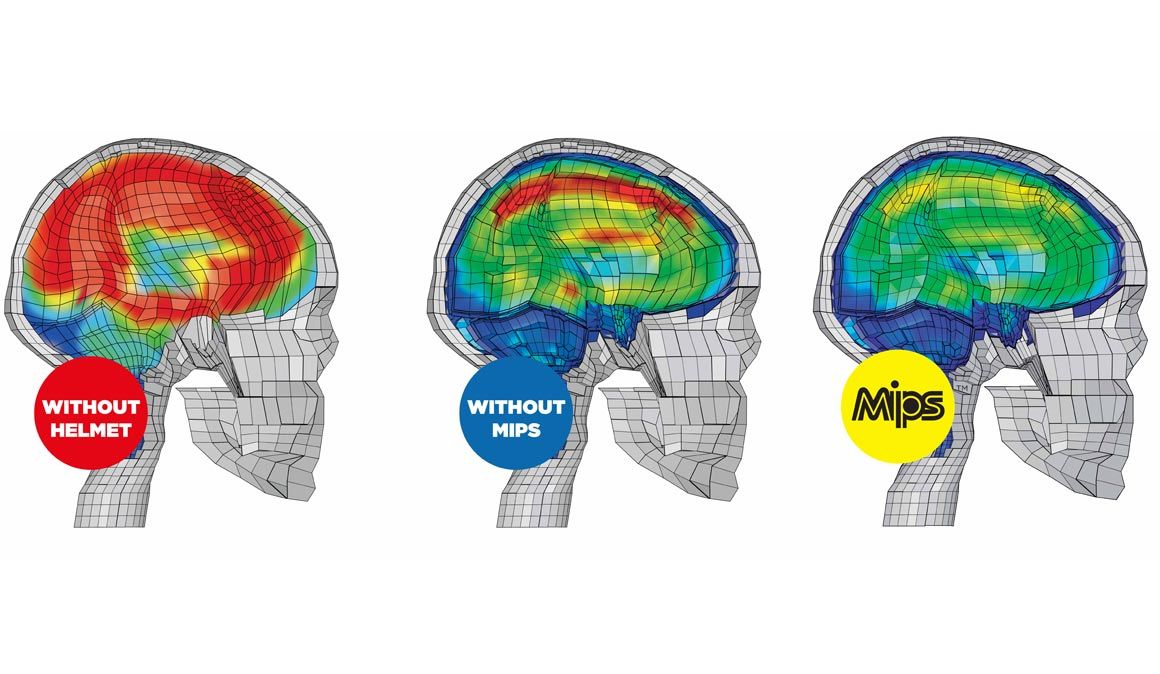 Los fundamentos del MIPS
