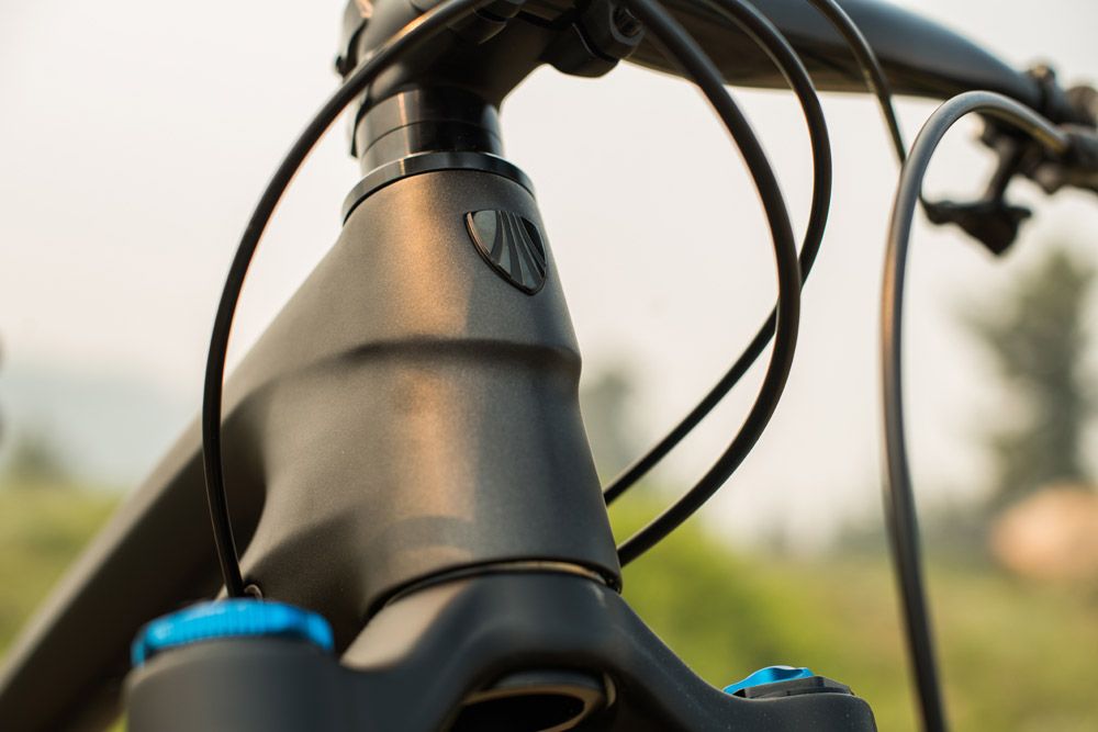 Trek Remedy 2019