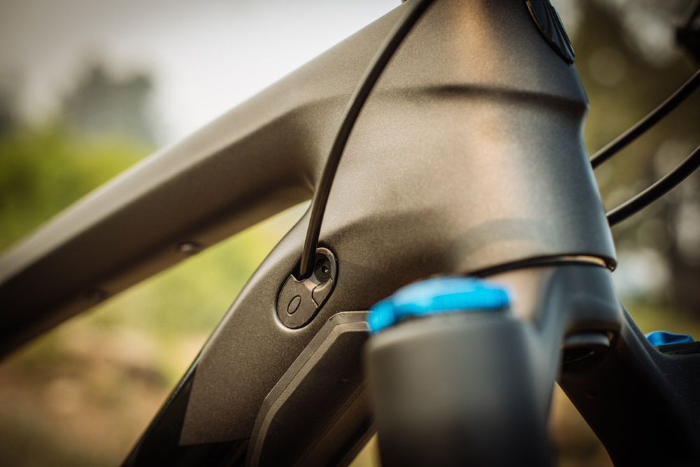 Trek Remedy 2019