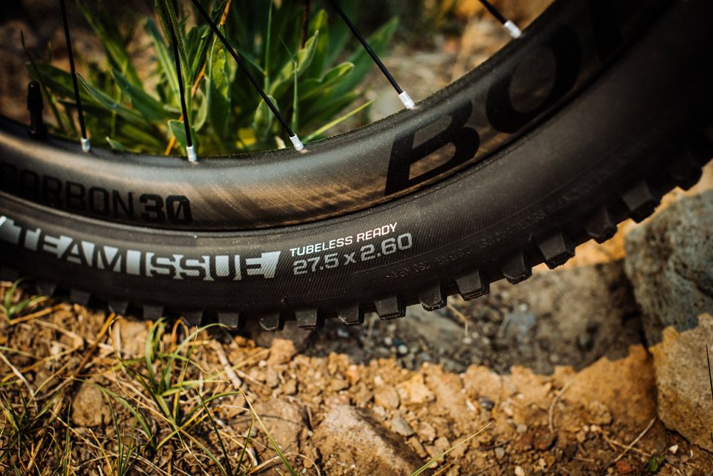 Trek Remedy 2019
